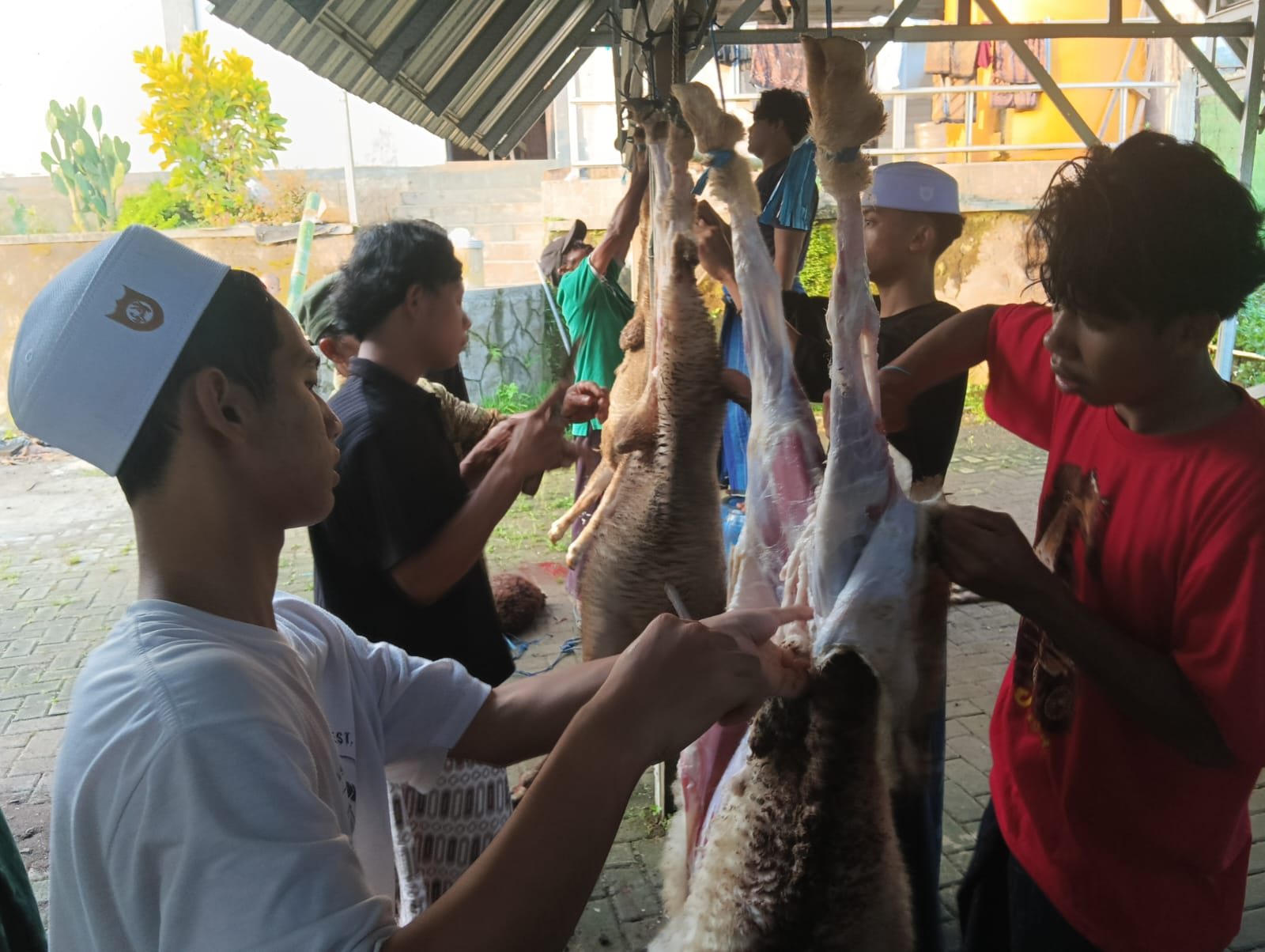 Ponpes Safinatul Huda Gelar Penyembelihan Hewan Kurban Idul Adha 1447 H